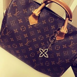 Louis Vuitton Speedy 30